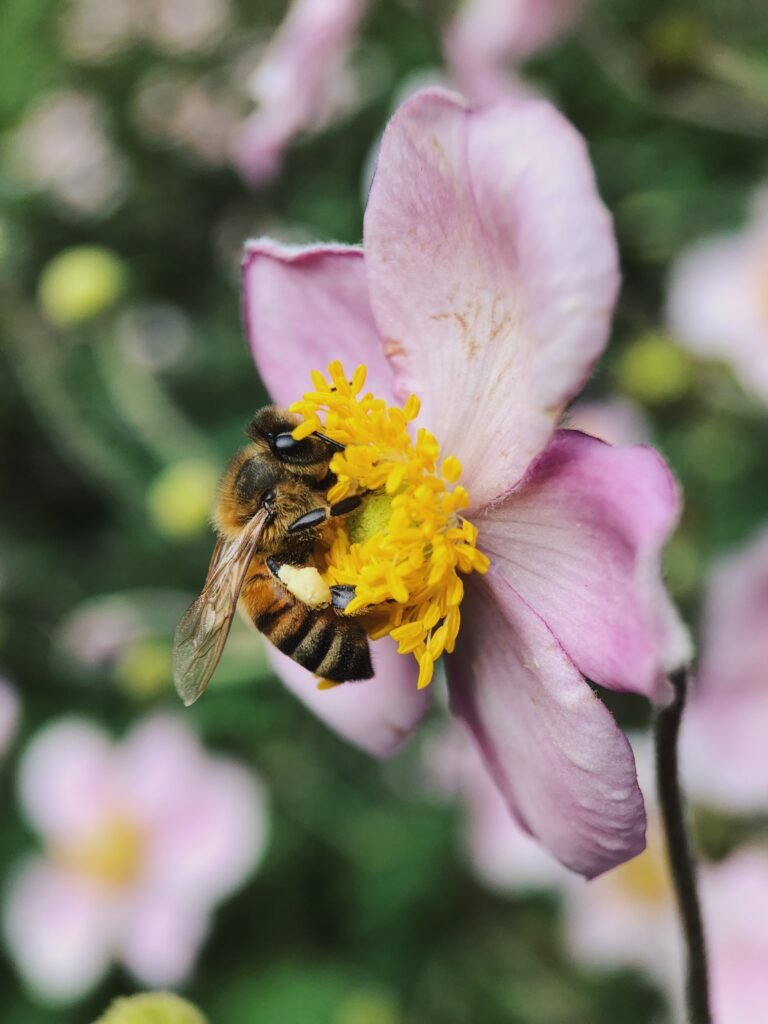 Este artículo podría sumergirse en el fascinante mundo de la polinización, destacando cómo las abejas, a través de su comportamiento colectivo y organizado