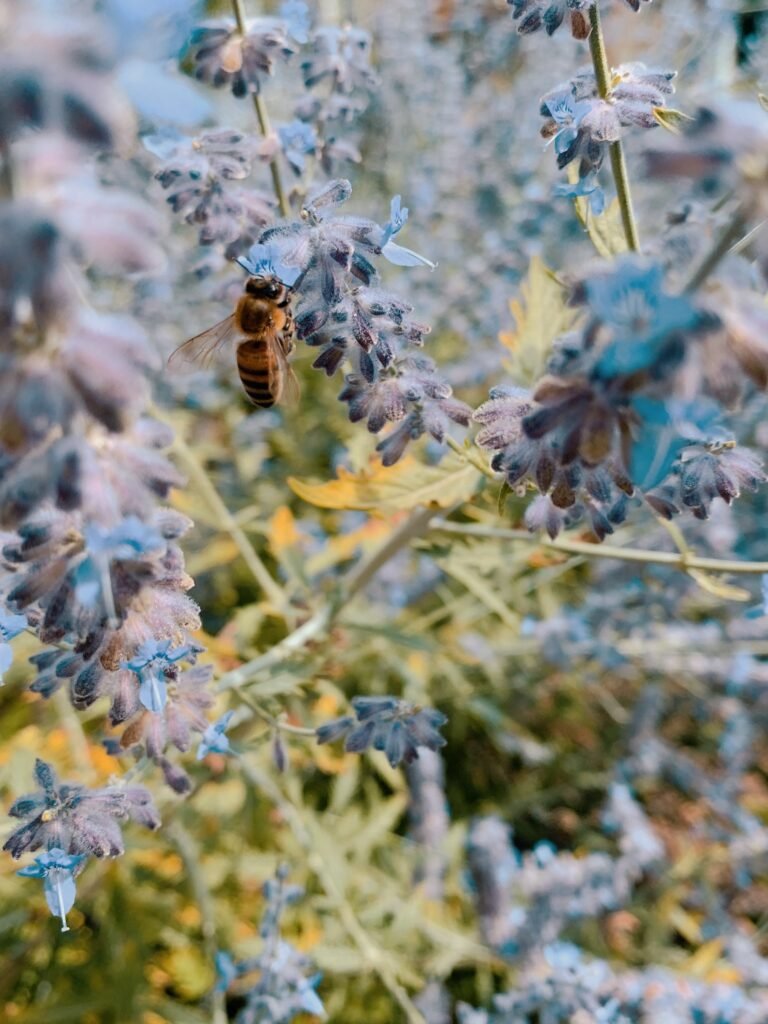 Este artículo podría sumergirse en el fascinante mundo de la polinización, destacando cómo las abejas, a través de su comportamiento colectivo y organizado